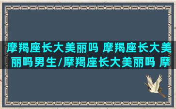 摩羯座长大美丽吗 摩羯座长大美丽吗男生/摩羯座长大美丽吗 摩羯座长大美丽吗男生-我的网站